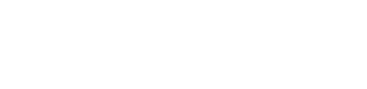 Peixoto Soluções